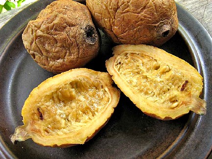 Mature Genipa Fruit